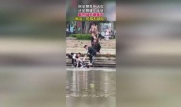 吃瓜群众来自火星