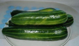 脾胃虚弱吃脆瓜