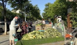 宿迁学校吃瓜,揭秘校园食品安全背后的真相