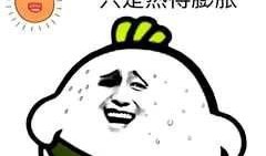 健康之路吃瓜顶瓜瓜,吃瓜顶瓜瓜，健康生活新主张