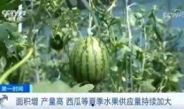 吃瓜群众颖颖,吃瓜群众的视角，揭秘娱乐圈风云
