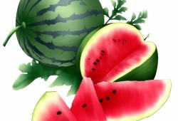 吃瓜礼,揭秘娱乐圈的“瓜田”文化