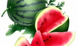 吃瓜礼,揭秘娱乐圈的“瓜田”文化