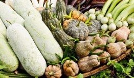 吃瓜和瓜的关系,吃瓜群众与瓜的奇妙关系揭秘