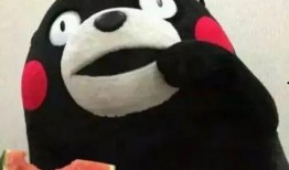 吃瓜博士,网络红人的瓜田奇遇记