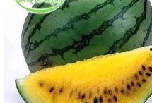 吃瓜20集以上,剧情高潮迭起，悬念重重