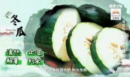 健康之路吃瓜顶瓜瓜,吃瓜顶瓜瓜，健康生活新主张