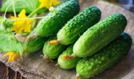 什么瓜别吃英文,Identifying Unsafe Melons: A Guide to What Fruits to Avoid