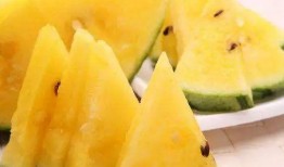 吃瓜地水,探寻神秘水源背后的故事