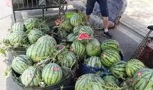 武穴铭宝吃瓜事件,一场网络热议的真相探寻之旅