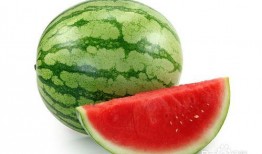 呼市吃瓜群,揭秘城市生活百态的“瓜田”