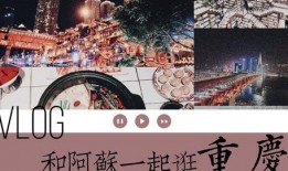 吃瓜少年vlog,揭秘娱乐圈幕后故事