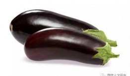 吃紫瓜好吗,紫瓜的营养益处与食用建议