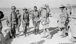 马帮吃瓜被暗算,揭秘背后惊人真相