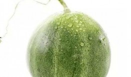 在北京吃瓜视频,揭秘北京街头巷尾的热辣视频风云