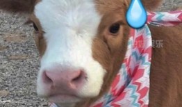 抖音吃瓜恐怖小孩