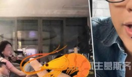 自爆录音吃瓜视频大全,揭秘自爆录音与吃瓜视频背后的真相大全