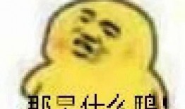 吃瓜的表情包复制,揭秘网络社交中的“吃瓜”文化