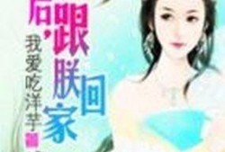 月知吃瓜小说,揭秘娱乐圈背后的秘密与八卦