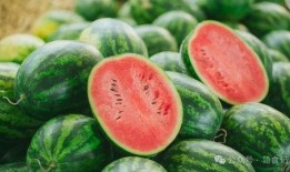 吃瓜别忘卖瓜人,人生哲理与智慧