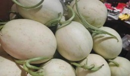 一元吃全部瓜,揭秘瓜果界的传奇之旅