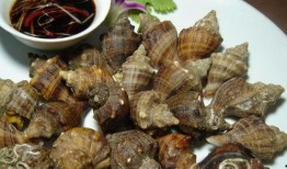 吃瓜的海螺小说,一场奇幻的海洋冒险之旅