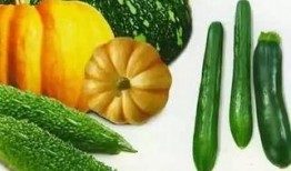 老纳吃瓜,揭秘娱乐圈那些不为人知的幕后故事