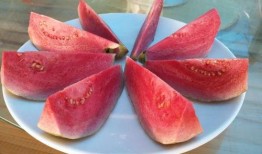 梦见摘熟瓜吃,揭秘摘熟瓜吃的神秘寓意