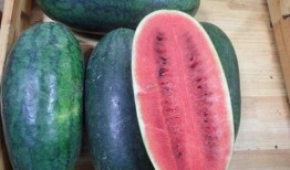 吃黑美人瓜,夏日消暑佳品，品味健康生活