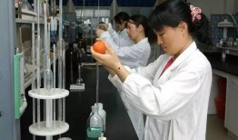 潍坊昌邑吃瓜事件始末,一场网络热议背后的真相与反思