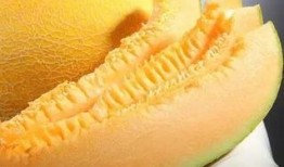 南昌吃瓜后续,揭秘背后真相与网络舆论风暴