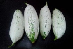 吃老鼠瓜有害,揭秘其潜在危害与食用风险