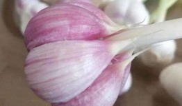 吃瓜即墨,探寻美食背后的故事与风情