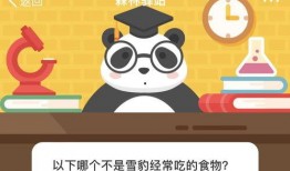 大熊的吃瓜日 百度网盘,揭秘百度网盘的趣味时光