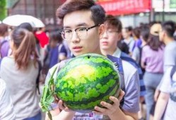 精进吃瓜比赛,精进吃瓜比赛精彩回顾
