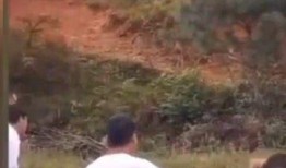 新娘 伴郎 吃瓜