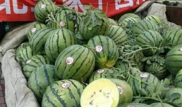 黑河吃瓜,揭秘网络热点的背后故事