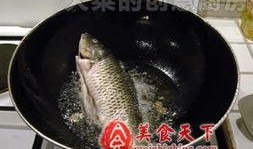 泡菜鱼吃瓜,一场味蕾与娱乐的盛宴