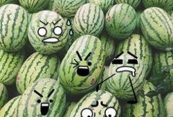 聪明的吃瓜,揭秘“聪明吃瓜”背后的智慧生活法则