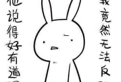 带你吃瓜奇葩物种,奇特的“带你吃瓜”世界，揭秘那些令人惊叹的奇葩物种