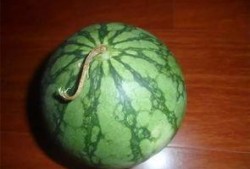 花纹瓜怎么吃,解锁美味新境界