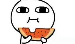 吃瓜博士,网络红人的瓜田奇遇记