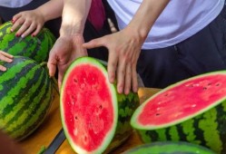 绍兴越秀学校吃瓜