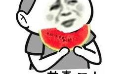 大众公关吃瓜群众视频,吃瓜群众视角下的视频真相