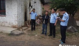 徽县吃瓜事件始末视频,一场网络热议的真相追踪