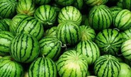 吃瓜群在线吃瓜