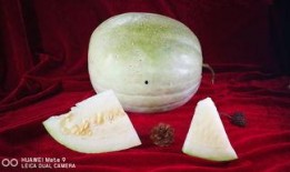 什么季节吃三白瓜,三白瓜的季节性美味