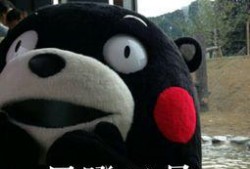 吃瓜群众好忙碌,忙碌中的娱乐生活