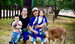 人和河马比赛吃瓜,一场吃瓜大赛的趣味对决