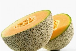 吃大量哈密瓜,畅享夏日甜蜜滋味